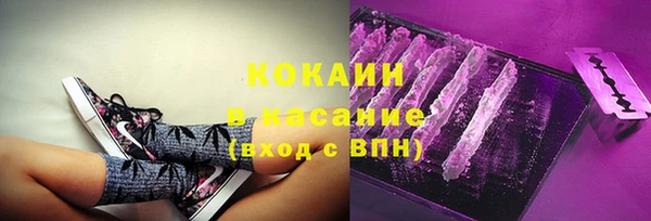 ECSTASY Алзамай