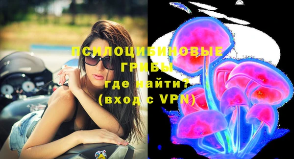 ECSTASY Алзамай